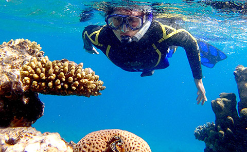 Diver swimming above corals